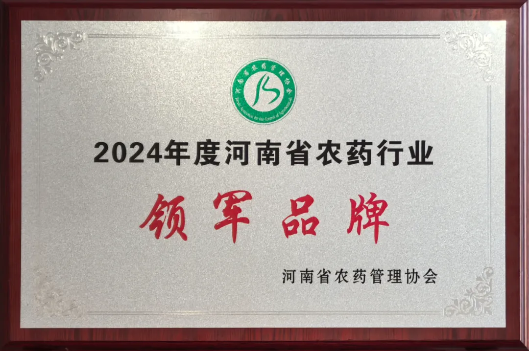 图片10