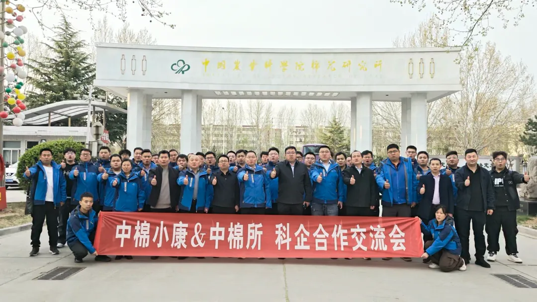 图片11